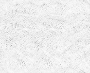 Body Closures & sealing