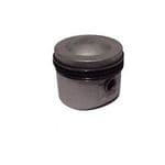 21379 PISTON ASSY STD 9:1