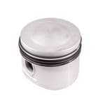 21380 PISTON ASSY STD 8:1