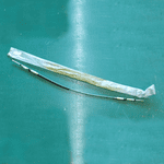 C29609 - Gear Selector Cable