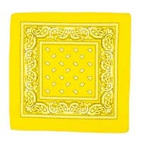 100% Cotton Bandana