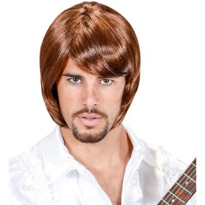 Adult 1970s Pop Star Bjorn Wig Brown Retro Disco Fancy Dress Costume Wig