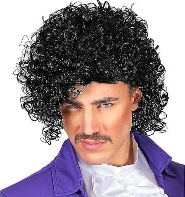 Adult 1980s Rock Prince Wig