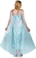 Adult Disney Frozen Elsa Classic Costume