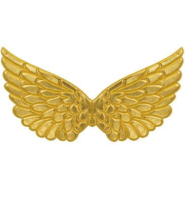 Adult Fabric Wings