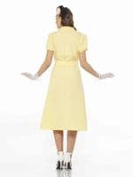 Adult Ladies 1950's Sweetheart Costume