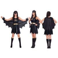 Adult Ladies Batgirl Costume