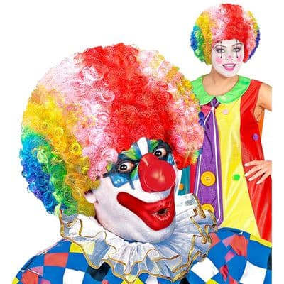Adult Rainbow Curly Clown Wig Multicolour Circus Fancy Dress Costume Wig