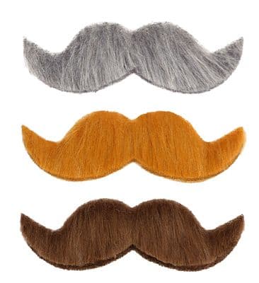 Ambassador Moustache