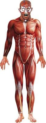 ANATOMY MAN + MASK
