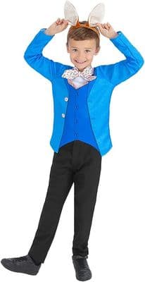 Boys Mr Rabbit Costume