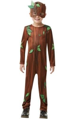 Boys's Twig Boy Fancy Dress Costume Book Week