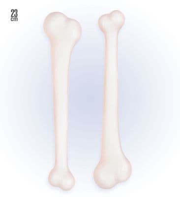 Caveman Set of 2 Bones