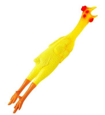 Chicken Rubber
