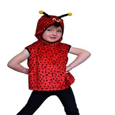 Child's Ladybird Tabard