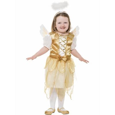 Christmas Fancy Dress Angel Fairy Dress