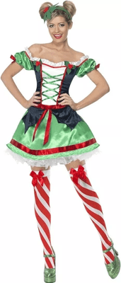 Christmas Ladies Holly Princess Costume