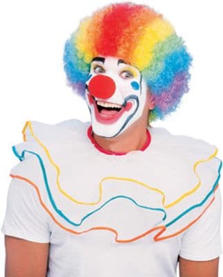 Clown 1970s Afro Wig Rainbow