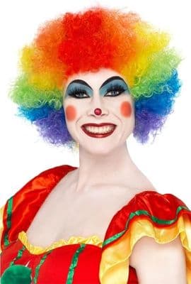 Clown Rainbow Funky 1970s Afro Wig