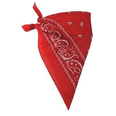 Cowboy Paisley Print Bandana