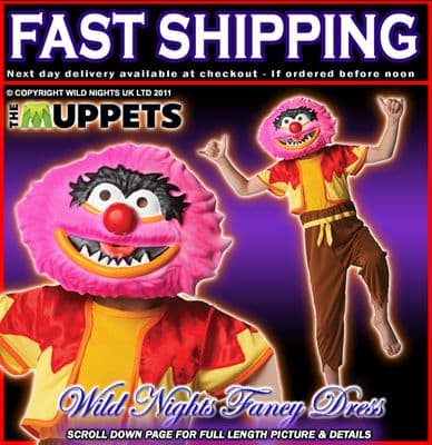 Disney Deluxe Muppets Child Animal Costume