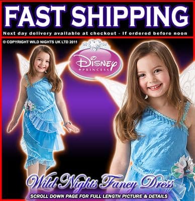 DISNEY FAIRIES (TINKERBELL) SILVER MIST SMALL AGE 3-4