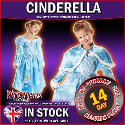 Disney Girls Cinderella Winter Wonderland Costme