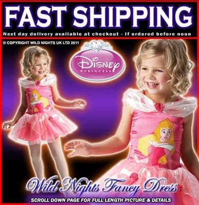 Disney Princess Sleeping Beauty Ballerina Costume