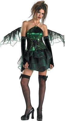 Dragon Fairy Dress 10-12