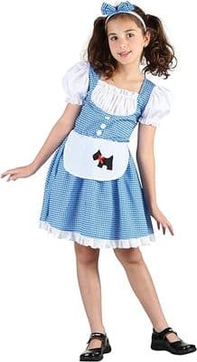 Fairytale Girl Dorothy Medium 5-7 Years