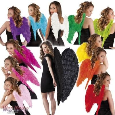 Fancy Dress Feather Angel / Fairy Wings