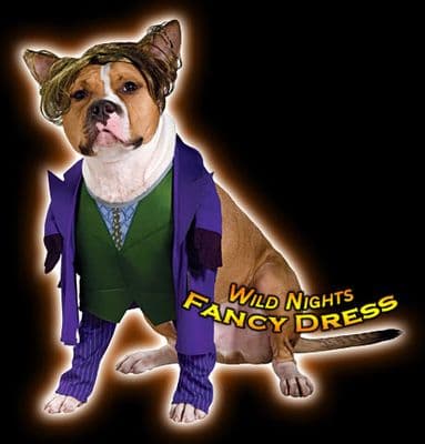 FANCY DRESS PET COSTUME ~ THE JOKER DOG BATMAN SM