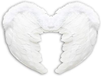 Feather Wings 40cm