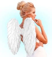 Foldable Feather Wings