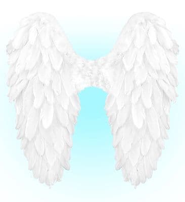 Foldable Feather Wings