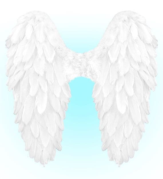 Foldable Feather Wings