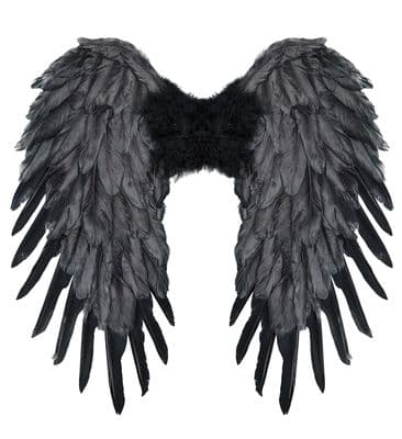 Foldable Feather Wings  50x50 cm