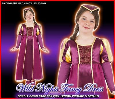 Girls Medieval Tudor Girl Costume