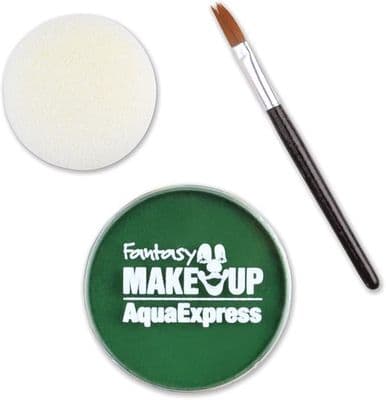 Green Aqua Makeup Kit With Sponge and Brush