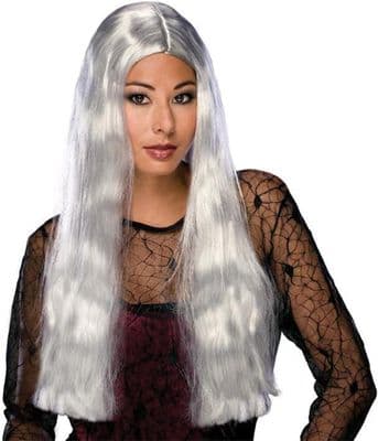Halloween 24inch Long Grey Witch Wig