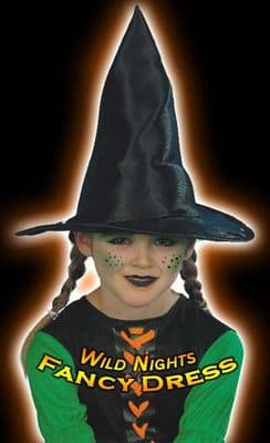 Halloween Childs Witch Hat
