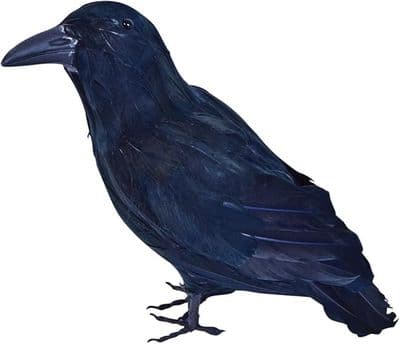 Halloween Decorative Raven with Feathers
