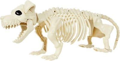 Halloween Dog Skeleton Prop