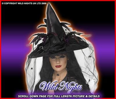 HALLOWEEN FANCY DRESS # BLACK WITCH HAT FEATHER / NET