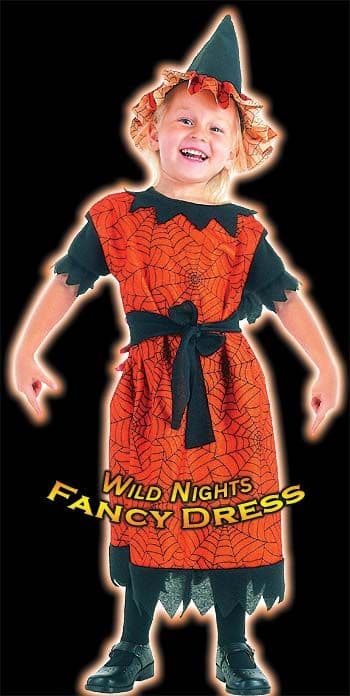 HALLOWEEN FANCY DRESS FUN SPIDER WITCH TODDLER AGE 2-3