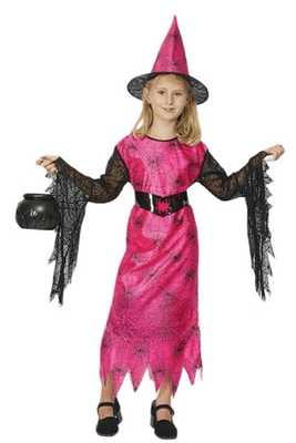 Halloween Girls Pink Trendy Spider Witch Costume