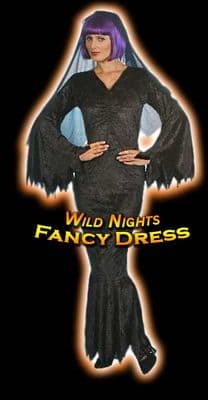 Halloween Ladies Black Velvet Vamp Costume