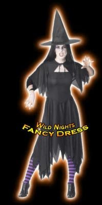Halloween Ladies Black Witch Dress / Cape Costume
