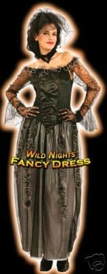Halloween Ladies Fun Contessa Gothic Mistress Costume