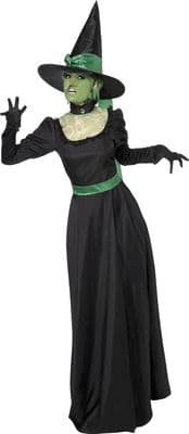 Halloween Ladies Green Wicked Witch Costume